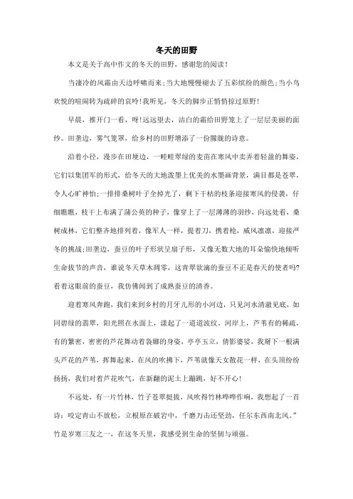 冬天的田野_高中作文