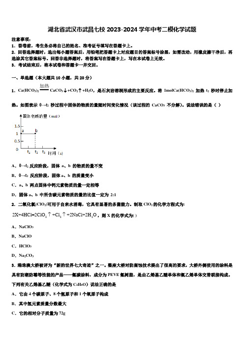 湖北省武汉市武昌七校2023-2024学年中考二模化学试题含解析