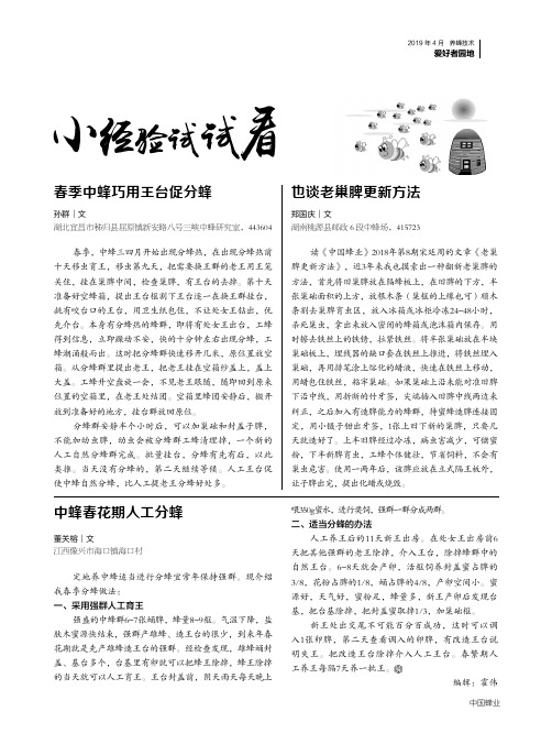 中蜂春花期人工分蜂