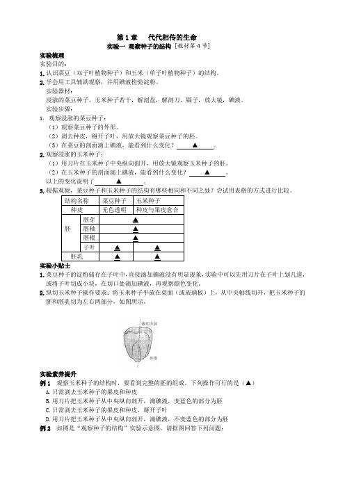 7-1(实验1——实验3)  观察种子的结构-2023-2024学年七年级科学下册同步高效学习(浙