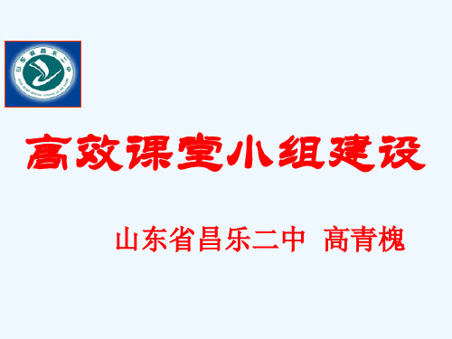 1高青槐(定稿)小组建设报告课件