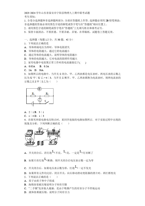 2023-2024学年山东省泰安市宁阳县物理九上期中联考试题含解析