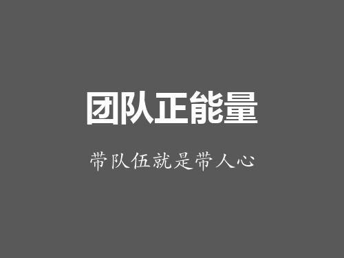 团队正能量带队伍就是带人心团队建设