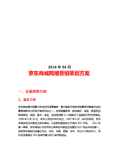 京东商城网络营销策划方案策划推广营销精品方案报告