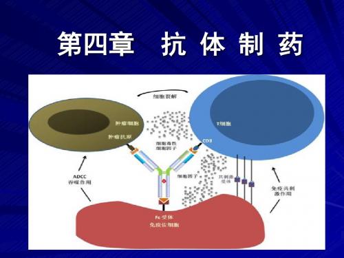 第四章 抗体制药