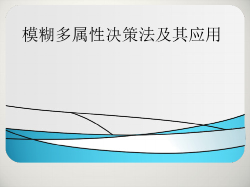 模糊多属性决策法及其应用