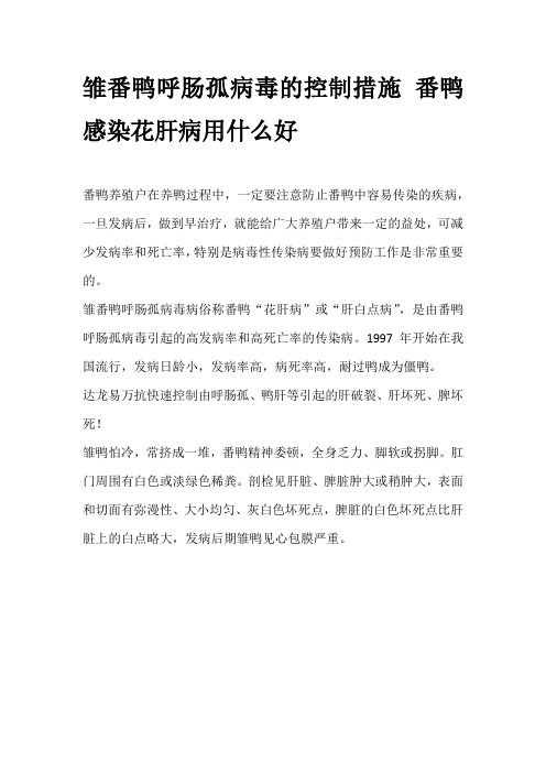 雏番鸭呼肠孤病毒的控制措施 番鸭感染花肝病用什么好