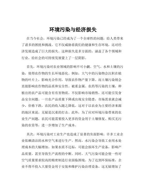 环境污染与经济损失