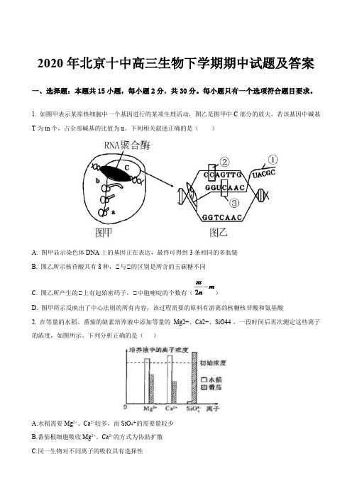 2020年北京十中高三生物下学期期中试题及答案