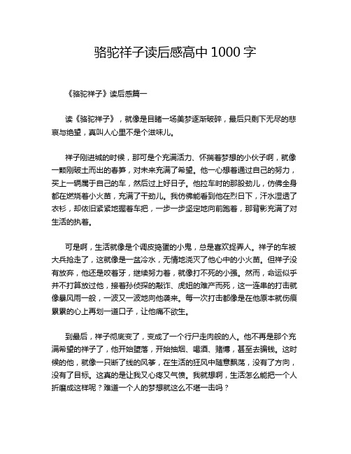 骆驼祥子读后感高中1000字