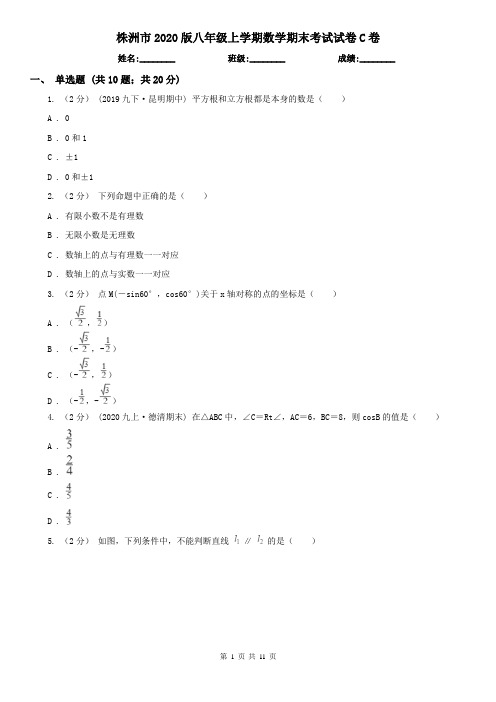 株洲市2020版八年级上学期数学期末考试试卷C卷(新版)