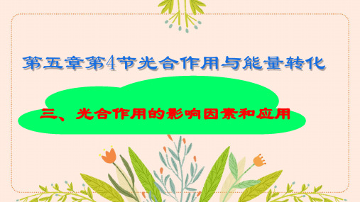 5.4光合作用的影响因素和应用 教学课件 高中生物 人教版(2019)必修1