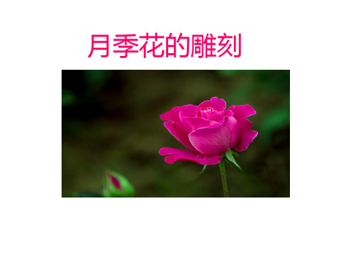 月季花雕刻