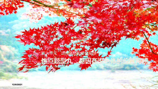 高考生物导学大一轮复习 第六单元 遗传信息的传递规律 热点题型九 基因在染色体的位置判断课件