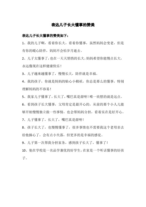 表达儿子长大懂事的赞美