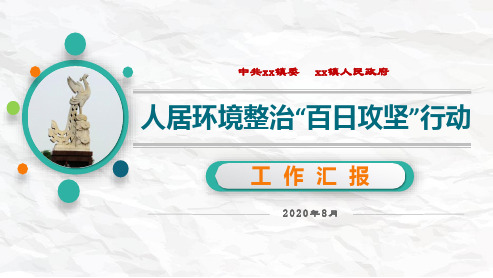 人居环境整治“百日攻坚”行动工作汇报ppt模板免费 整套