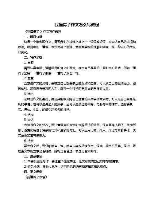 我懂得了作文怎么写教程