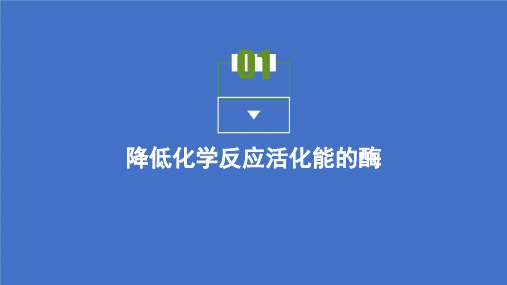 2021高中生物人教版必修第一册课件:第5章第1节 降低化学反应活化能的酶