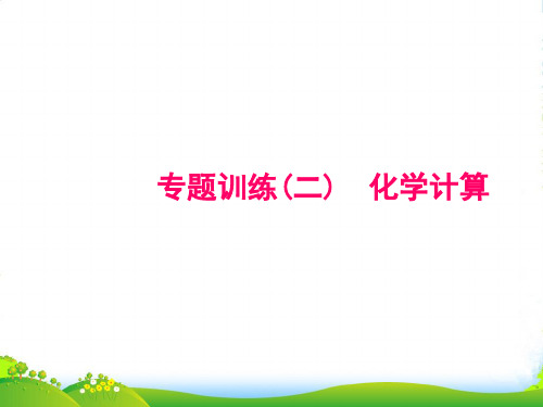 年九年级人教版化学上册课件：专题训练(二) 化学计算(共15张PPT)