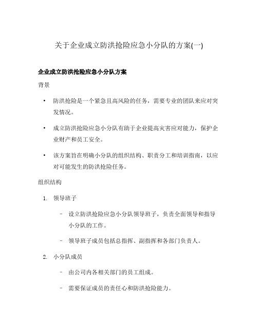 关于企业成立防洪抢险应急小分队的方案(一)