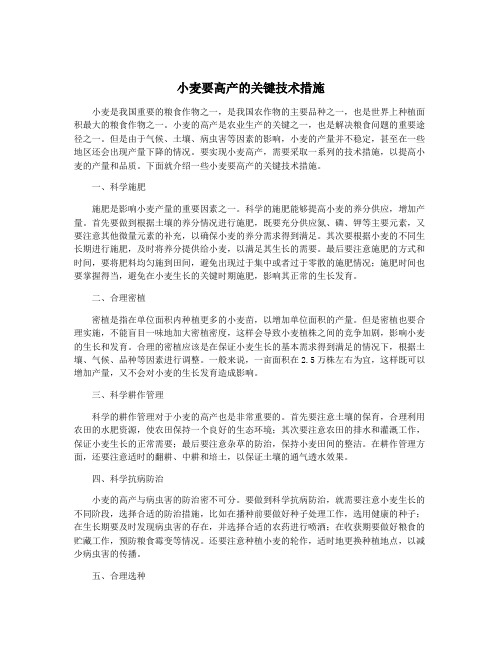 小麦要高产的关键技术措施