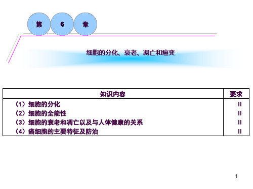细胞分化、衰老、凋亡、癌变(复习)ppt课件