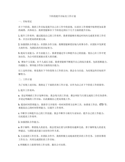 下阶段提升目标及工作计划