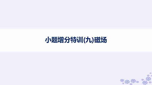 浙江专版2025届高考物理一轮总复习小题增分特训9磁澄件新人教版