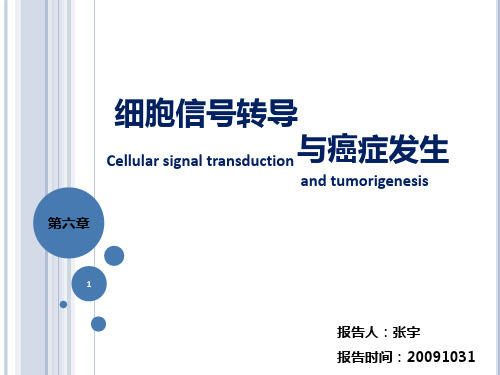 癌生物学——细胞信号转导与癌症发生