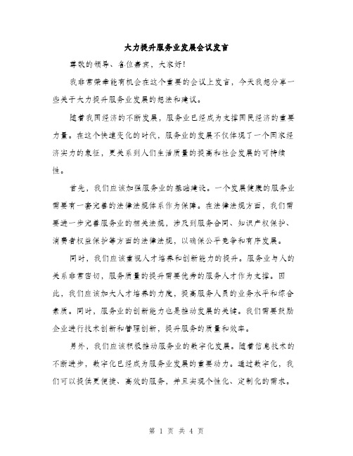 大力提升服务业发展会议发言（2篇）