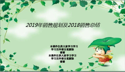 2019年销售规划及2018销售总结