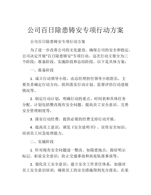 公司百日除患铸安专项行动方案