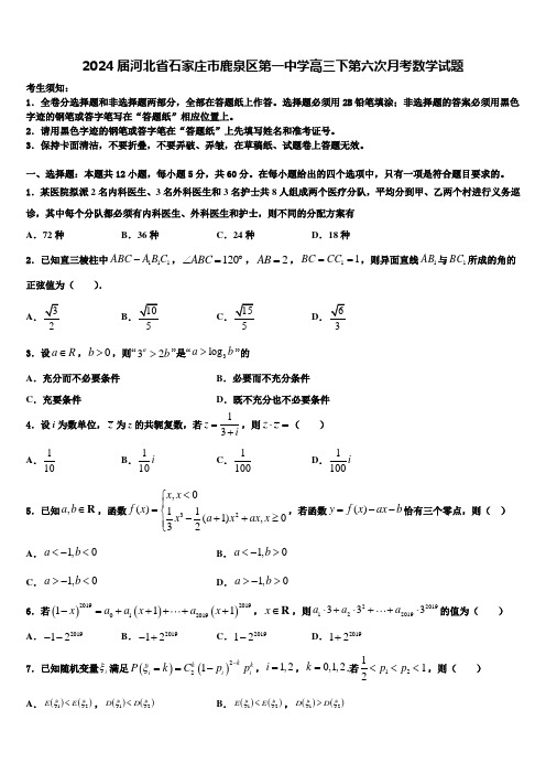 2024届河北省石家庄市鹿泉区第一中学高三下第六次月考数学试题