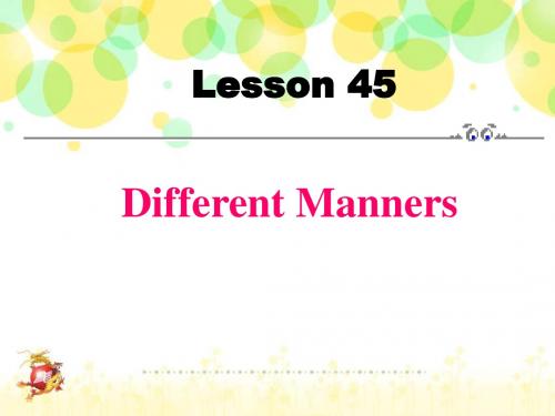 冀教版英语九年级全册Lesson 45课件