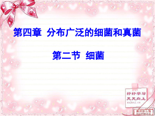 《细菌》PPT