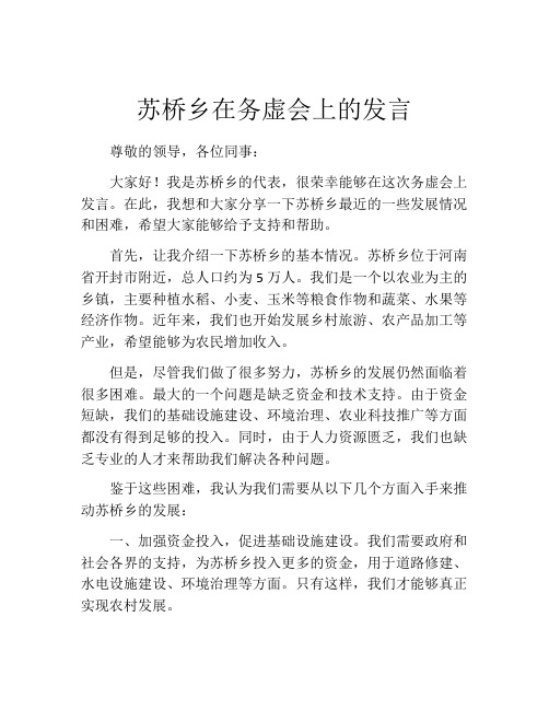 苏桥乡在务虚会上的发言