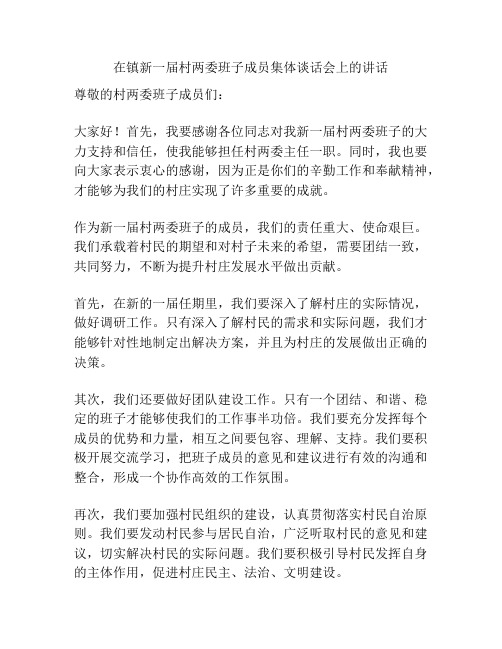 在镇新一届村两委班子成员集体谈话会上的讲话