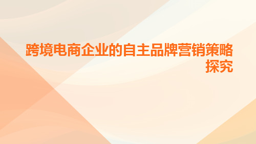 跨境电商企业的自主品牌营销策略探究