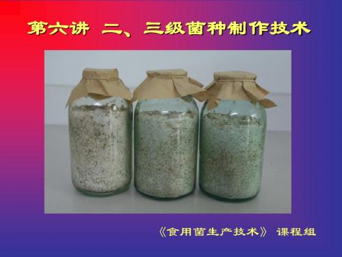 A06菌种制作技术