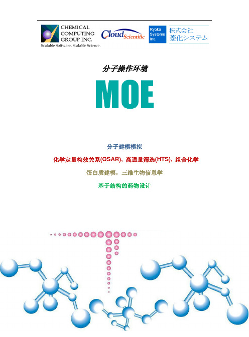 MOE_CS