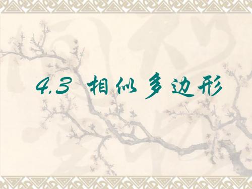 2014年北师大版九上《4.3相似多边形》ppt课件