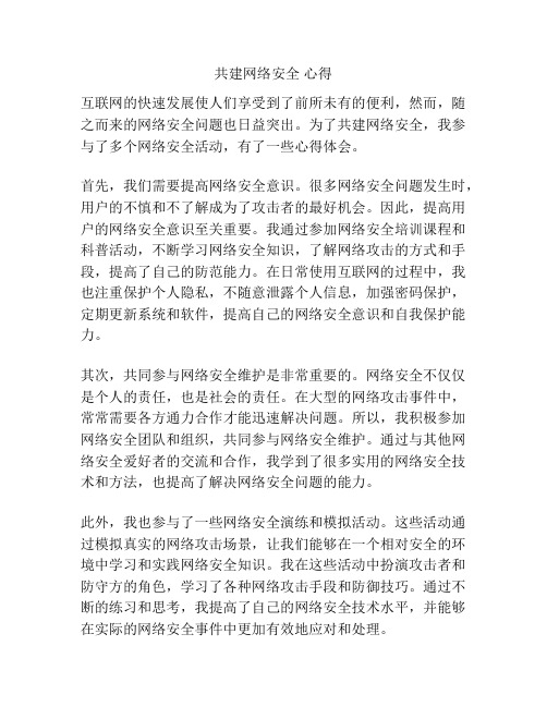 共建网络安全 心得