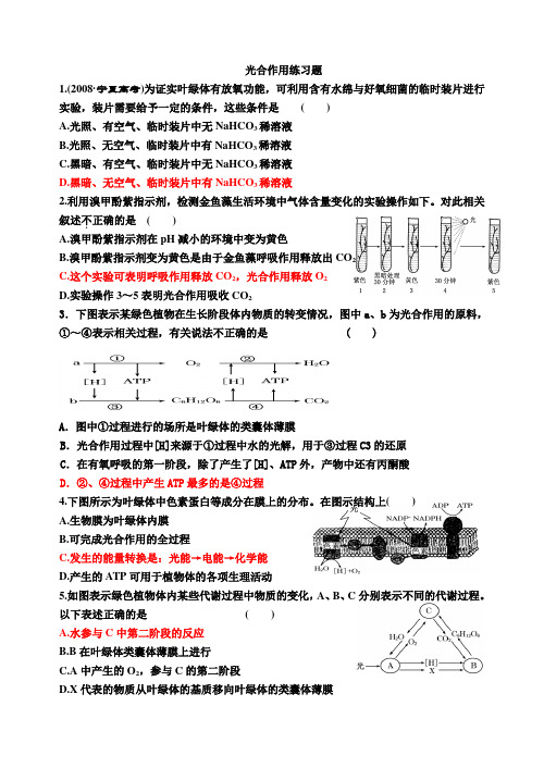 高中生物光合作用精选练习题(含解释)