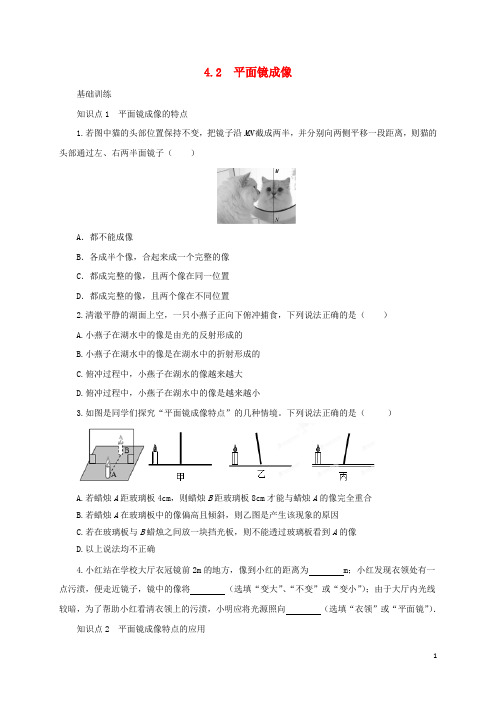 八年级物理全册 4.2《平面镜成像》练习(含解析)(新版)沪科版