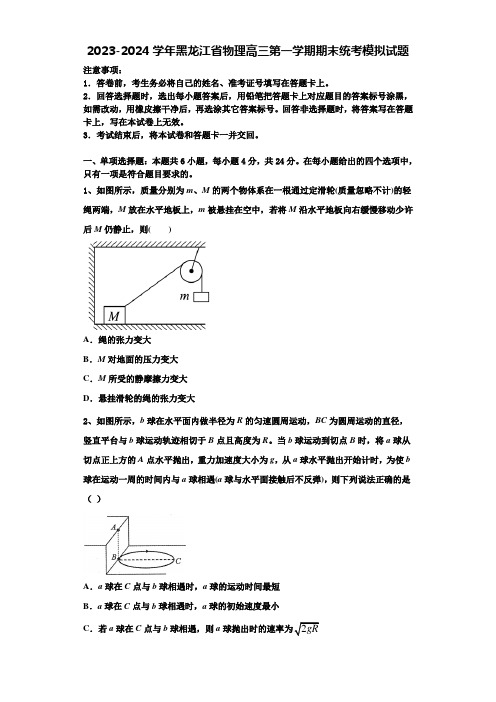 2023-2024学年黑龙江省物理高三第一学期期末统考模拟试题含解析