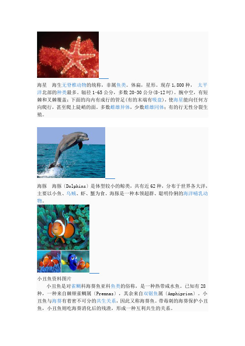 海洋生物介绍