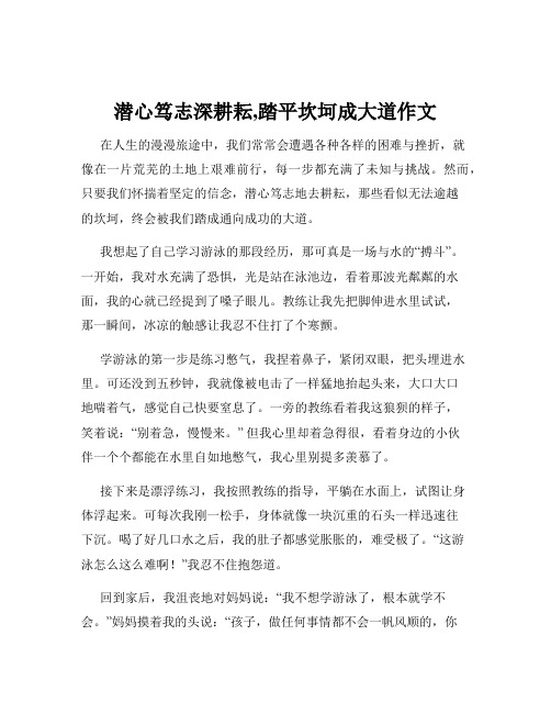 潜心笃志深耕耘,踏平坎坷成大道作文