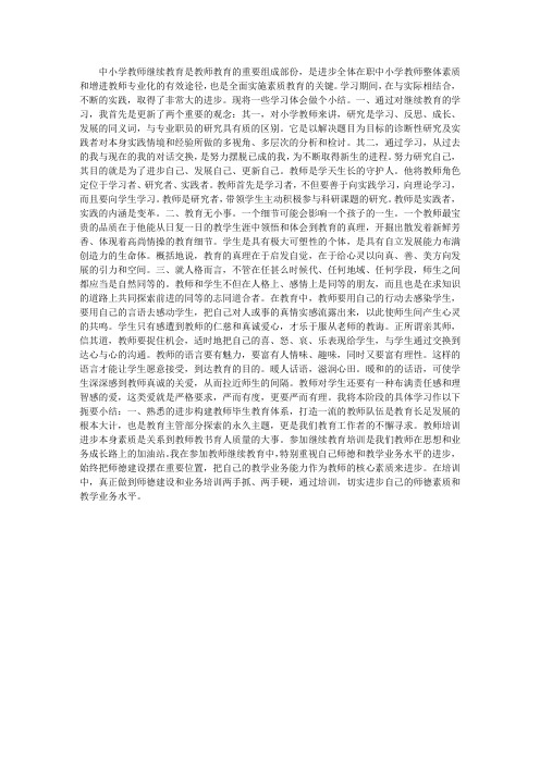 中小学教师继续教育学习心得(4篇)