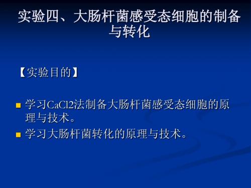 大肠杆菌感受态细胞的制备与转化