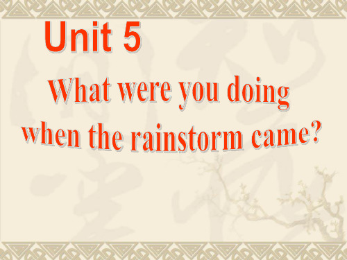 (已修改)新目标八下U-5 what were you doing when the rainstorm came课件 Section A grammarfocus-4c